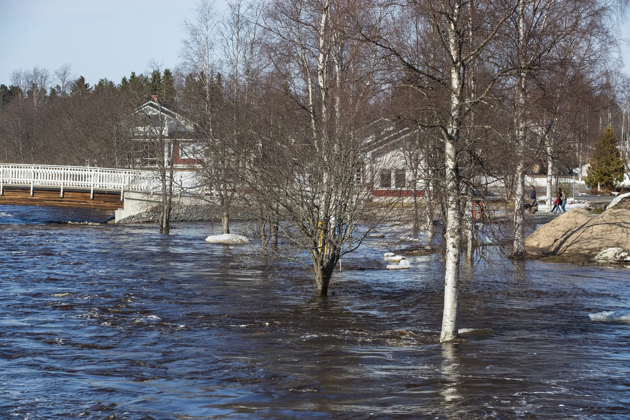 Kielosaaren sillan alta vesi virtaa vapaana, mutta iso väylä on vielä jäässä.