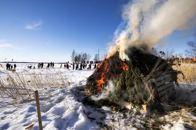 Pikisaaren kokko Vaasan Palosaarella kokosi suuren joukon meren jäälle. Kuva: Jarno Pellinen