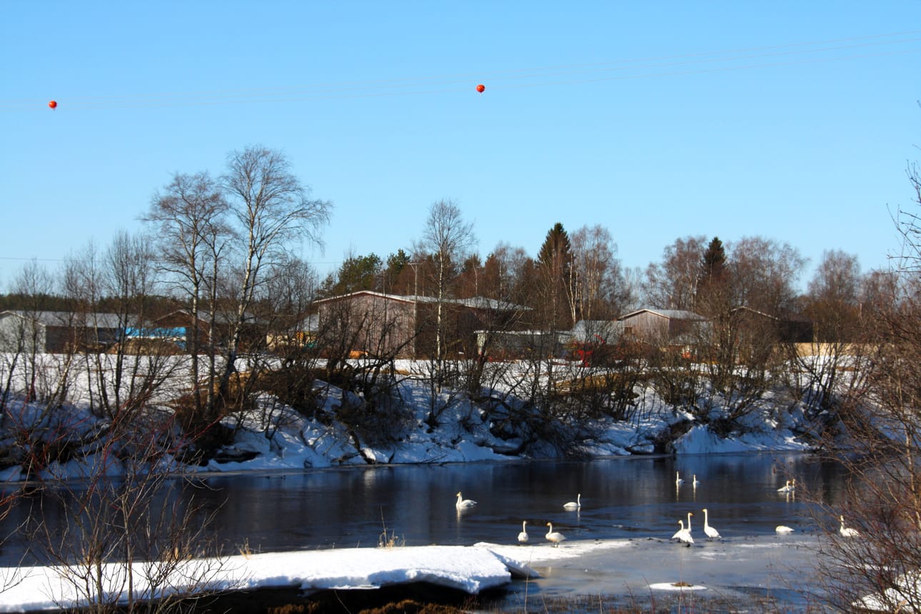 Rantsilan sähkökatkojen syitä on selvitetty ja mahdollisia vikojen aiheuttajia korjattu. Loppuvuodesta Rantsilan alueelle asennetaan myös varoituspalloja ehkäisemään lintujen linjoihin törmäämisestä aiheutuvia katkoja. Arkistokuva