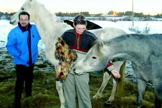 Markku ja Pascale käyvät ratsastamassa yksin tai kaksin, kun he haluavat hengähtää arjen tohinoista.