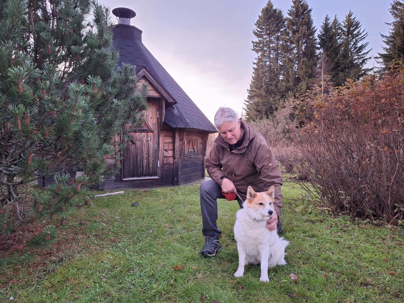 Pohjanpystykorva Pimu pitää huolen, että Kari Kalevalla tulee käytyä lenkillä.