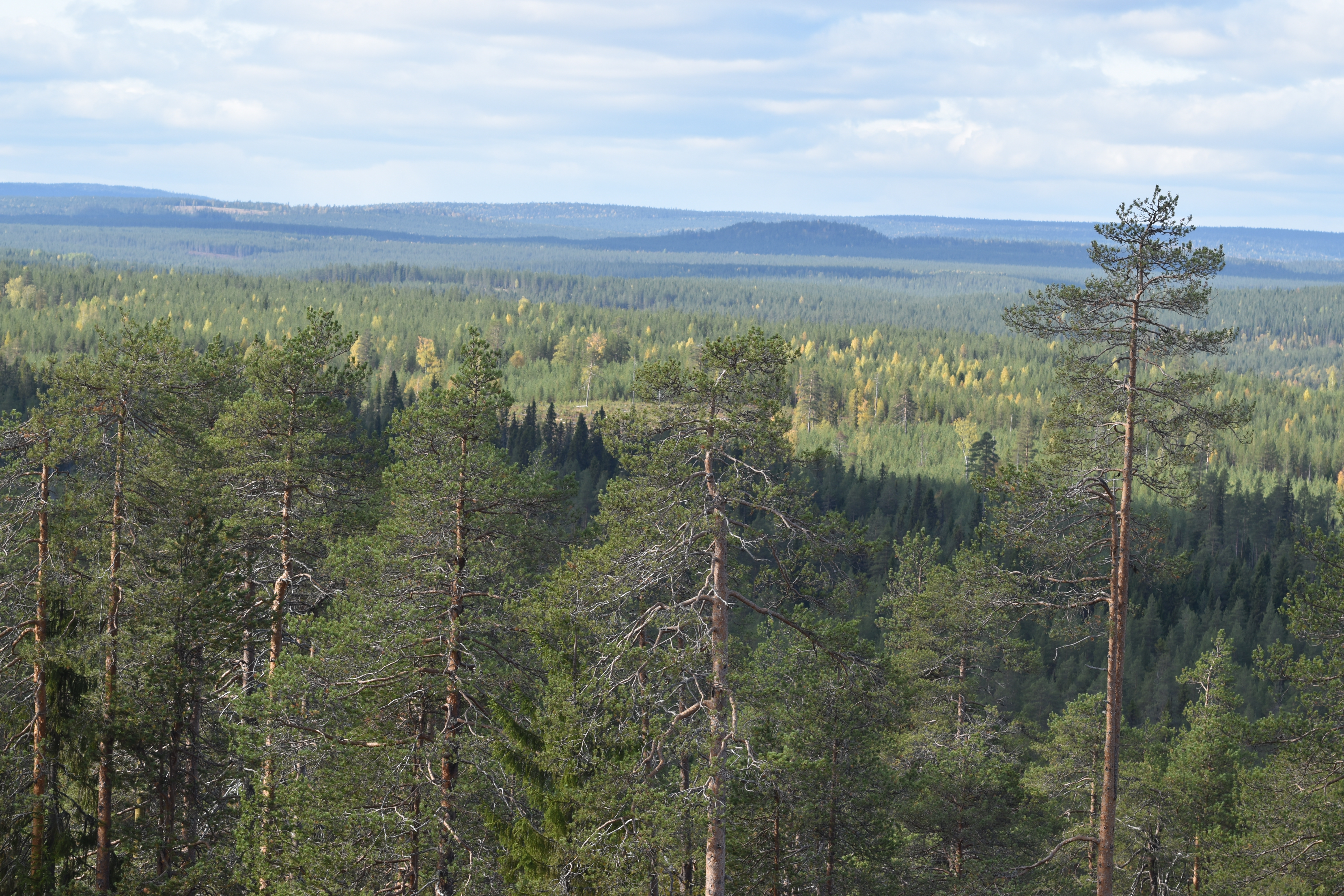 Taivalkosken luonto houkuttelee turisteja.