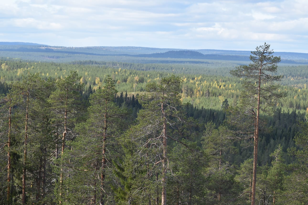 Taivalkosken luonto houkuttelee turisteja.