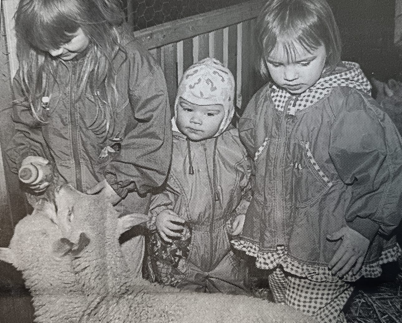 Niina, Oskari ja Noora ovat saaneet mukavan tehtävän papalta. Juottokaritsat on ruokittava useita kertoja päivässä.