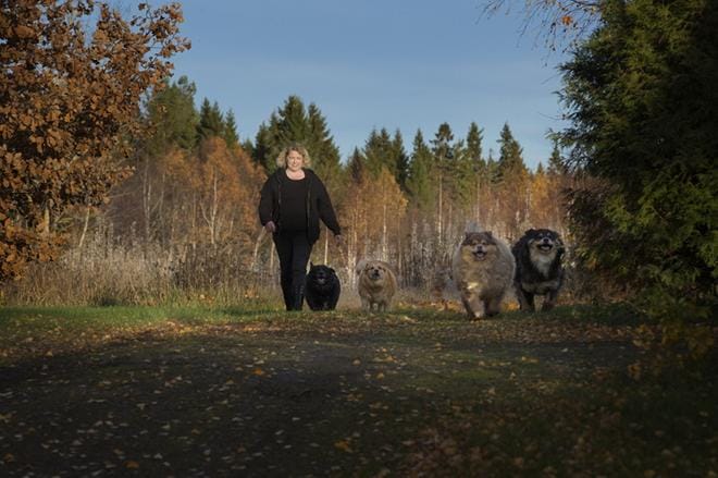 Susanna Pienimäki kertoo, että kauheinta avanteessa oli se, miten se rajoitti elämää. Koiria pystyi ulkoiluttamaan, mutta muuta liikuntaa ei pystynyt harrastamaan. KUVAT: MINNA ANTILA