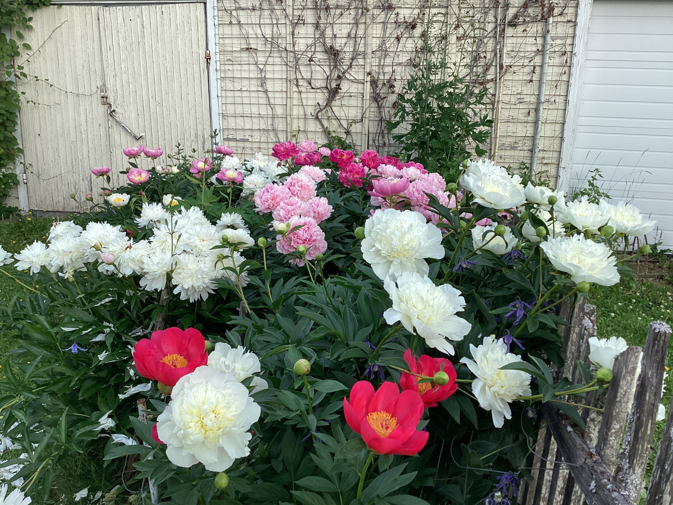 Heinäkuun 2024 lukijakuvat