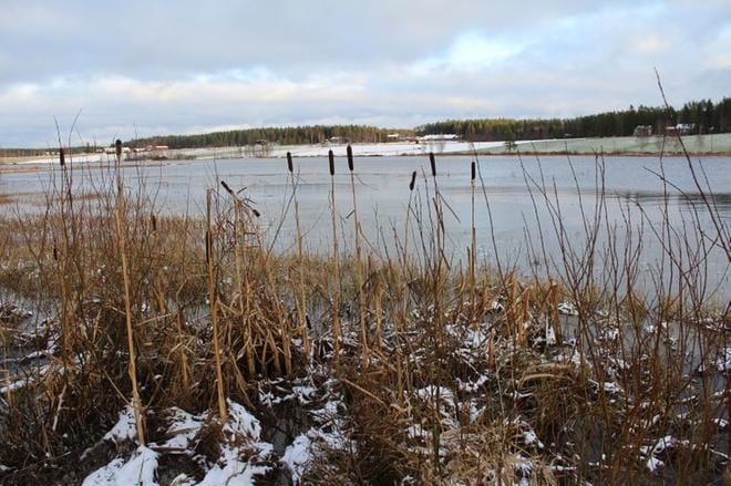 Alavudenjärvi aaltoili vielä perjantai-iltapäivällä vapaana jäästä. Järven eteläosien ruoppaustöihin päästään vasta sitten, kun jää on vähintään puolimetristä. KUVA: REIJO HEIKKILÄ