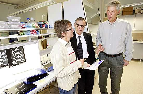 Vanhempi tutkija Elli Birr, professori Pekka Jalovaara ja varatoimitusjohtaja Paul Watkins esittelevät eläinkokeiden tuloksia yrityksen tiloissa Oulun Rehapoliksessa.