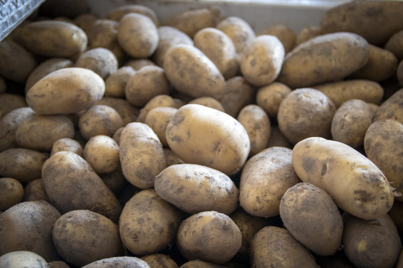 Vasta nostettua Nicolaa.