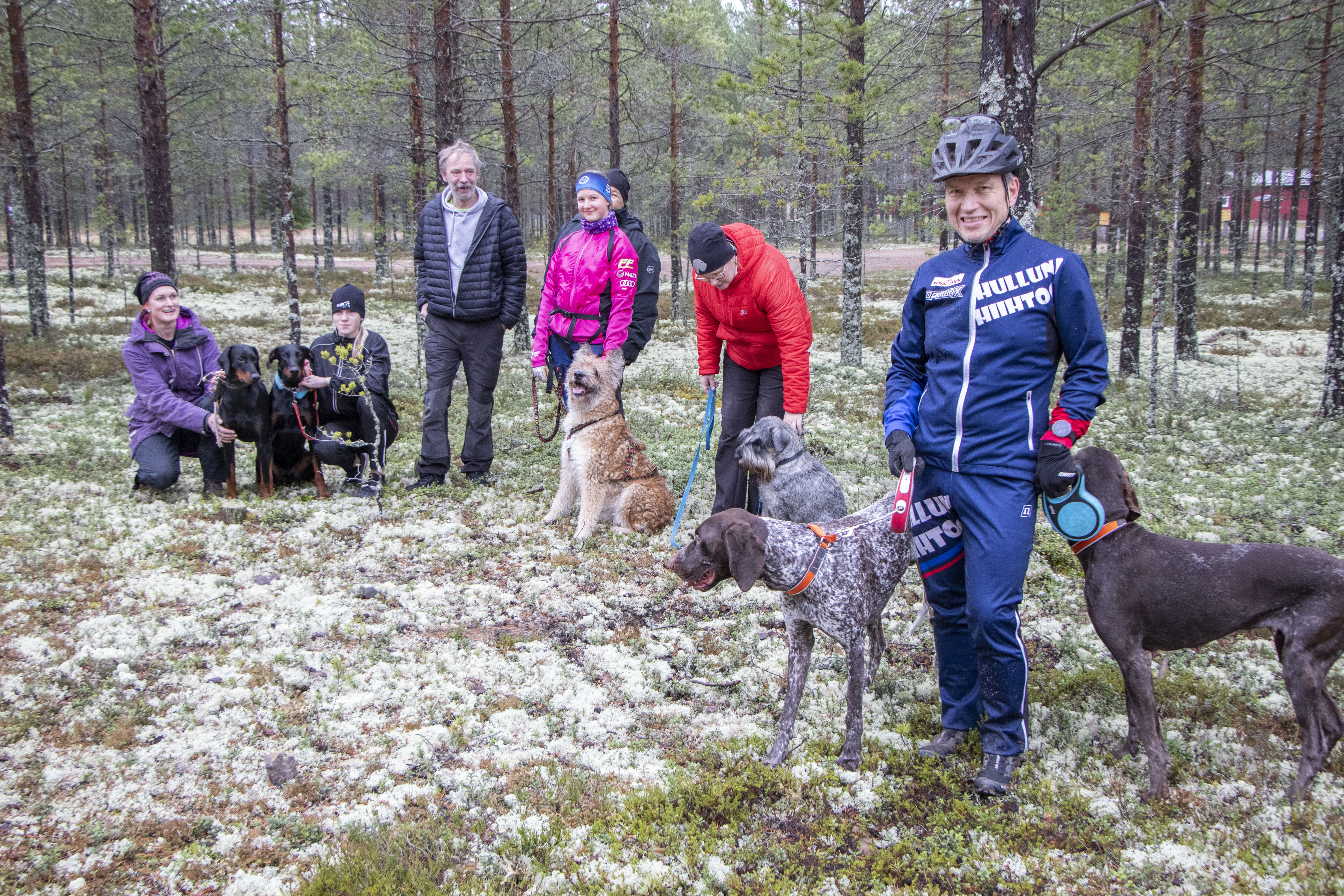 Koirajuoksun huumaa Lumijoella – katso vauhdikkaita videoita!