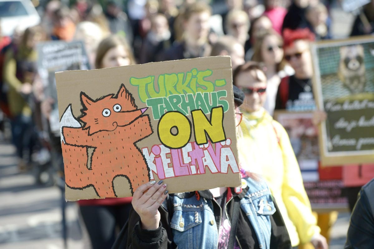 Viime vuosina esimerkiksi Ranska, Norja ja Viro ovat kokonaan kieltäneet turkistarhauksen. LEHTIKUVA / Martti Kainulainen