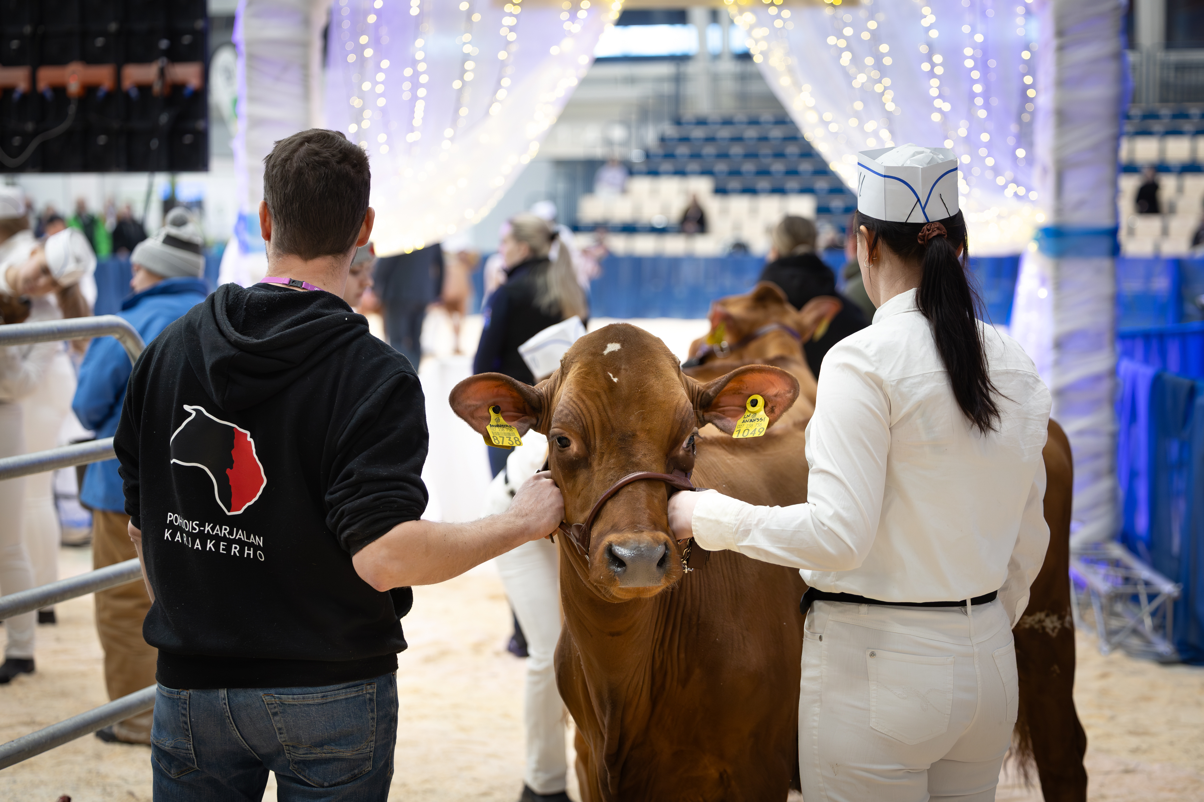 Neljä alajärveläisnuorta vaihtoi koulupäivän koneiden ihasteluun – Katso kuvat Sarkamessuilta