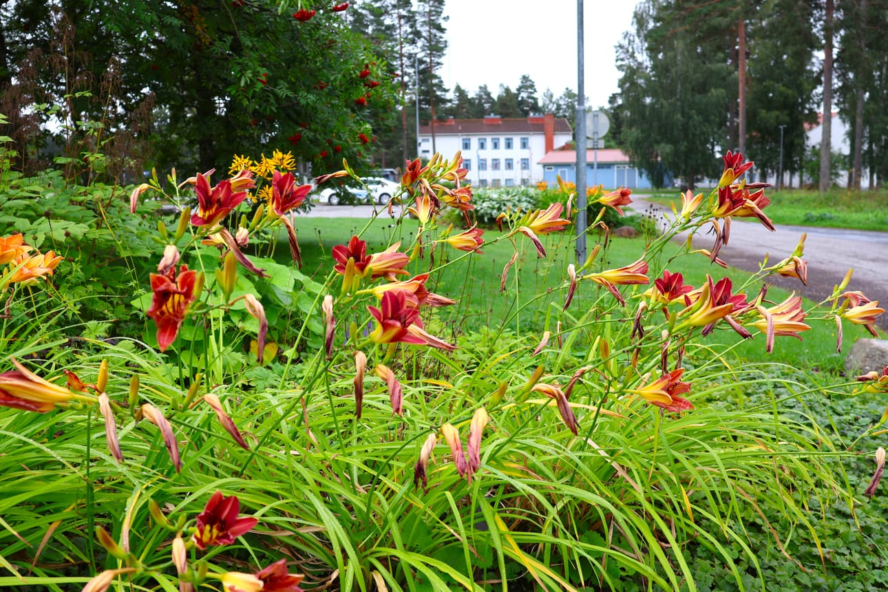 Isojoki on halukas osallistumaan Kauhajoen ehdotukseen nuorisotyössä.