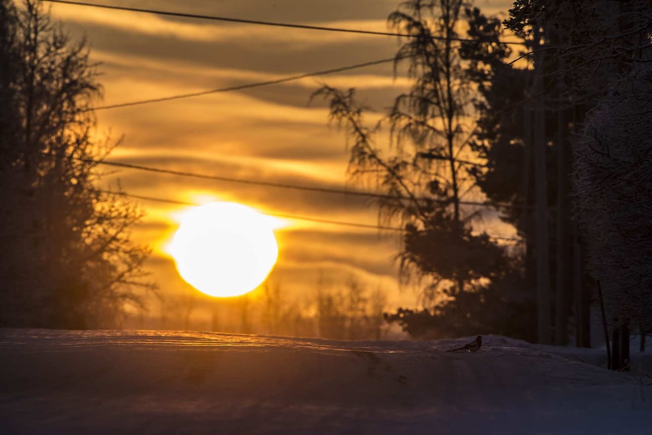Kirjoittaja kertoo omia kokemuksiaan aurinkoenergiasta.