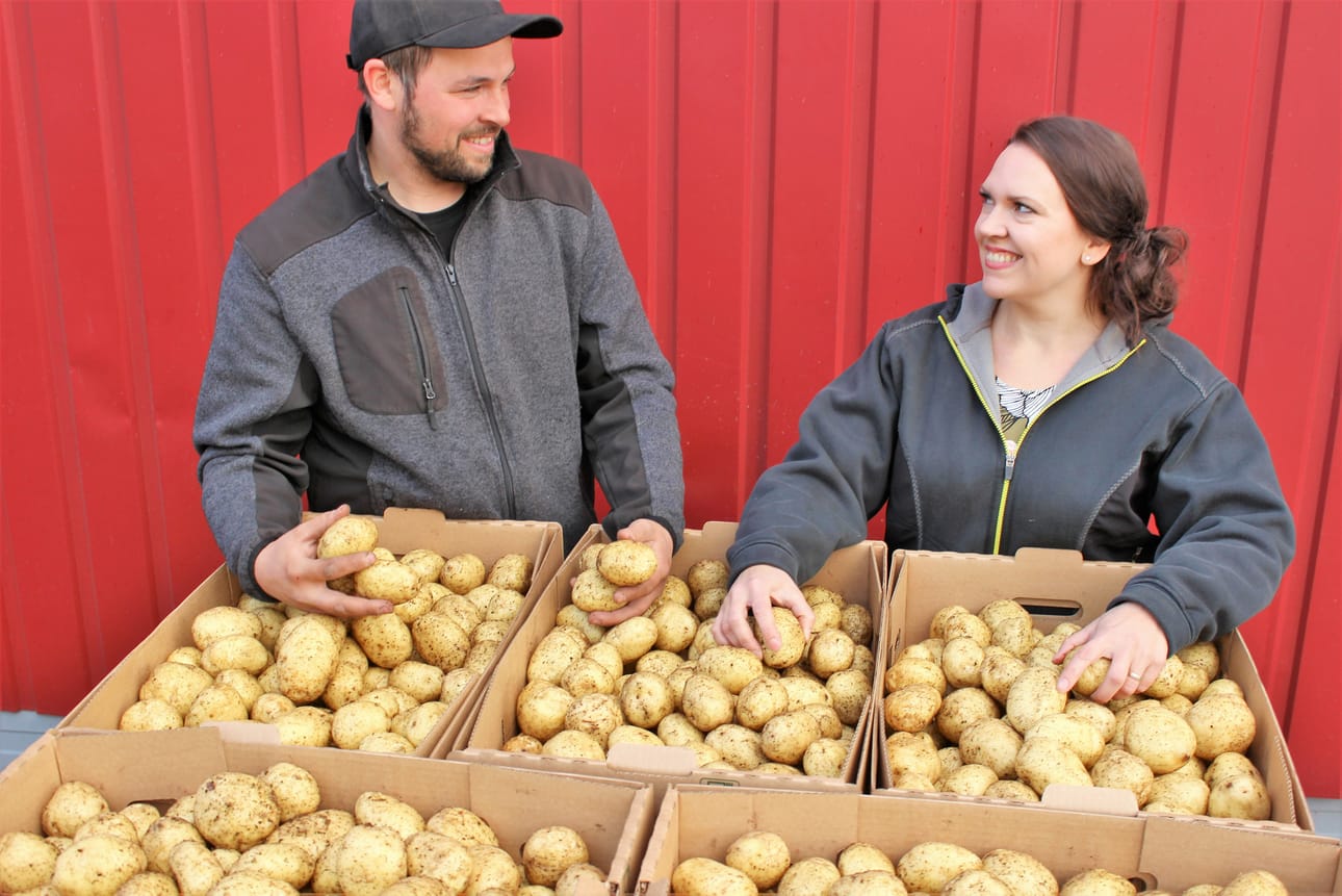 Ilkka ja Heidi Hautaviidan tila tuottaa ja pakkaa ruokaperunoita Karijoen Villurilla.