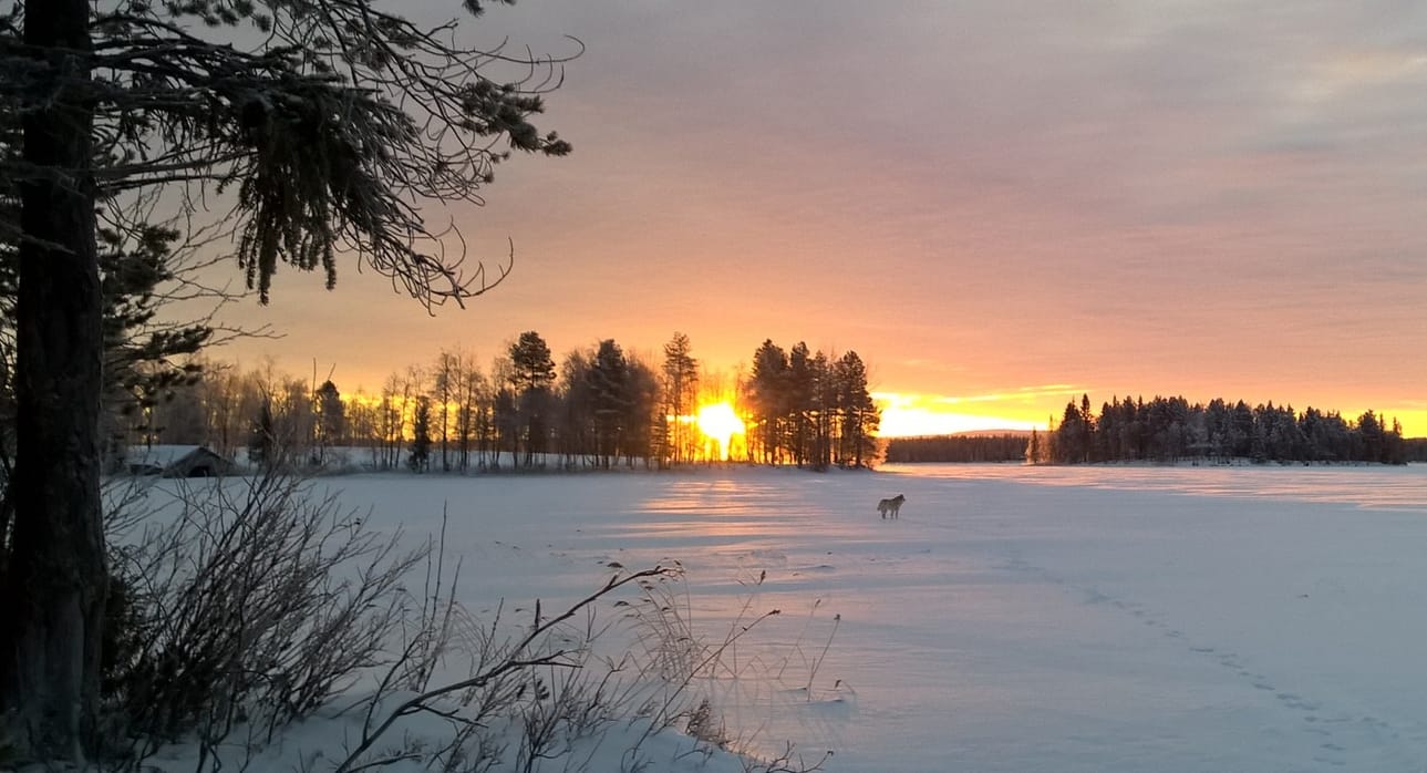 Valon varjot vielä pitkiä