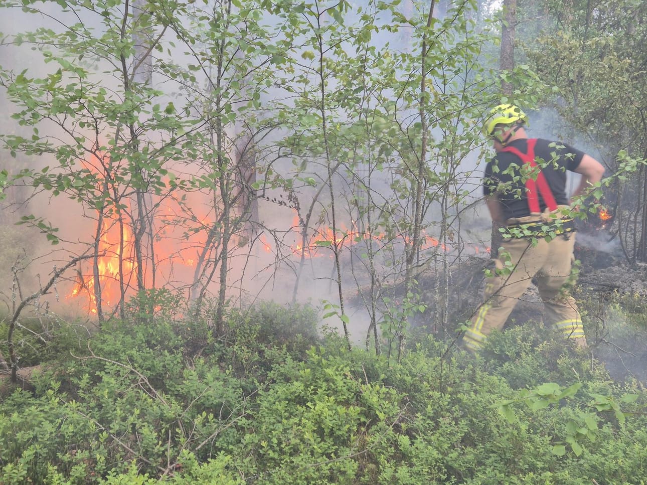 Paloja sammutettiin alkuun ilman vettä, esimerkiksi tamppaamalla tulessa olevia kohtia, kertoo paikalla käynyt Kalevan toimittaja Tinja Huoviala.