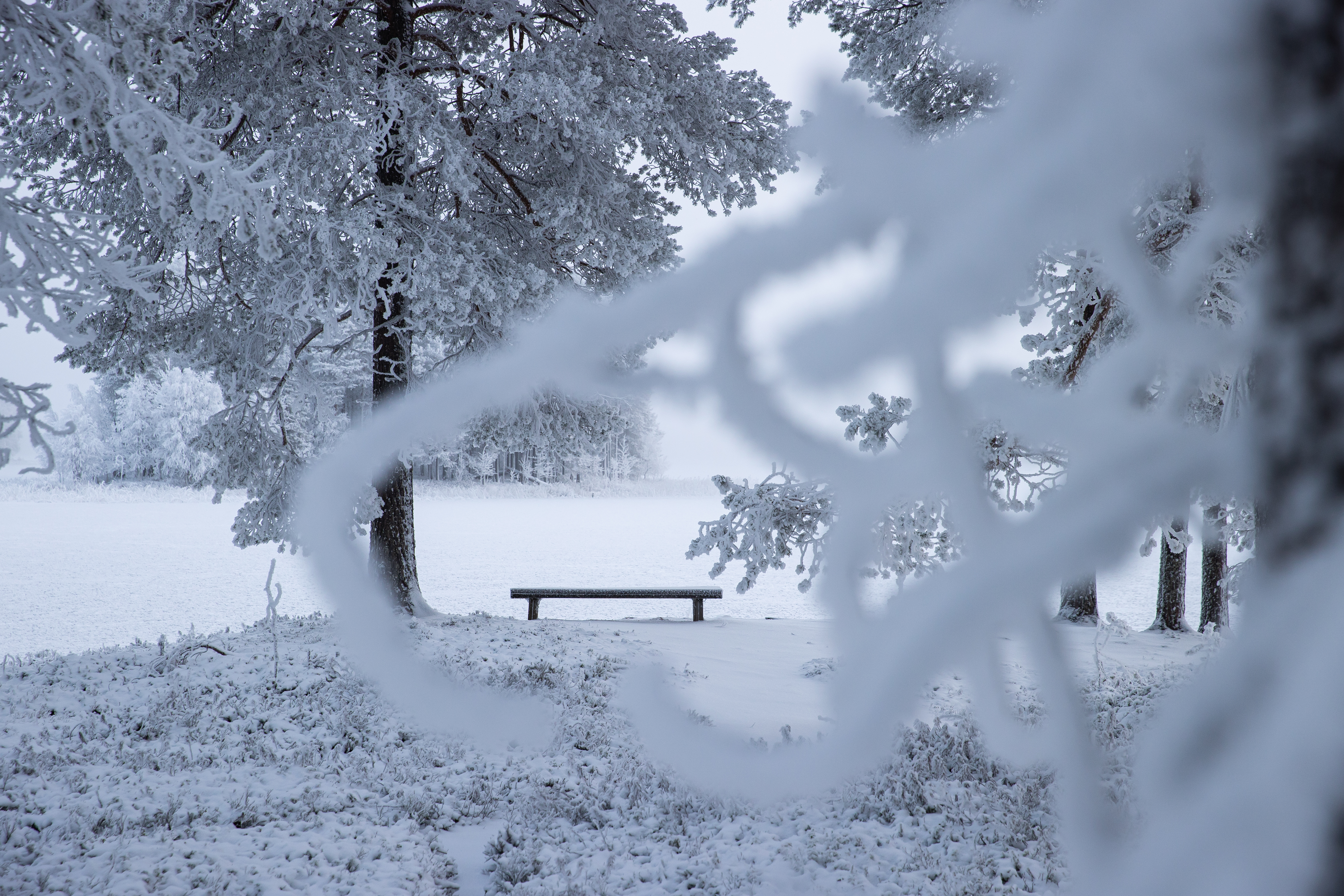 Näköalapaikka Sarvijärven Mäntyniemessä. Taustalla näkyy Pikkusaari ja Pikku Likalahti.