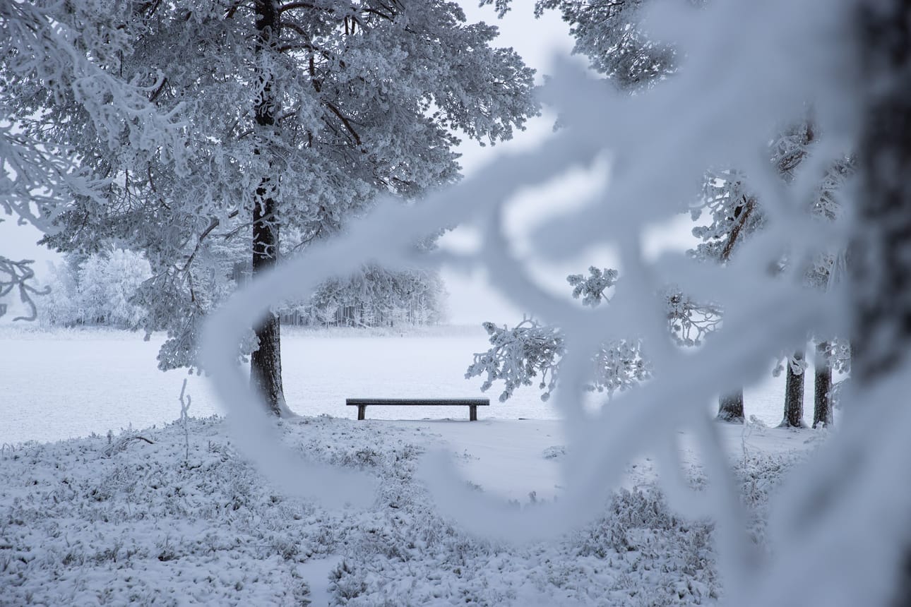 Näköalapaikka Sarvijärven Mäntyniemessä. Taustalla näkyy Pikkusaari ja Pikku Likalahti.