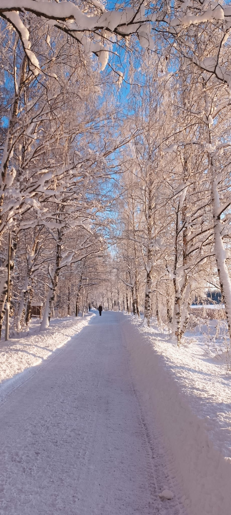 Tammikuun alussa pakkanen puri, mutta ulkoilukelit olivat upeat.
