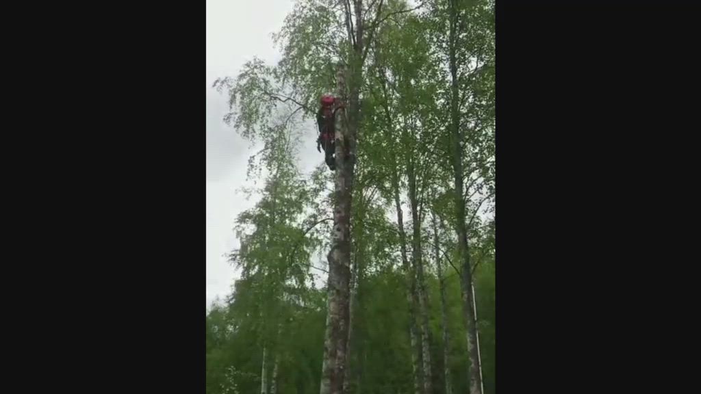 Puunkaato, Palomies Esa Alatörmänen näyttää.