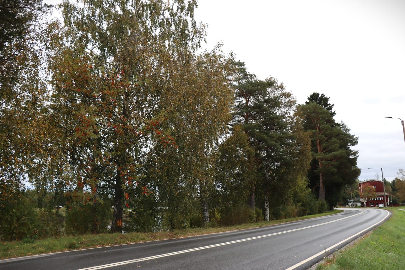 Onnettomuus tapahtui syyskuun puolivälissä lähellä Merikaarron koulua kuvassa näkyvän mutkan kohdalla. Arkistokuva.