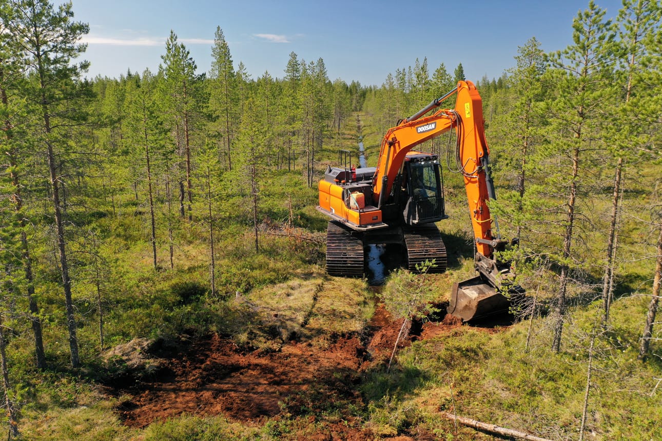Elinympäristöjen kunnostustoimiin kuuluu muun muassa soiden ennallistaminen ojia tukkimalla.