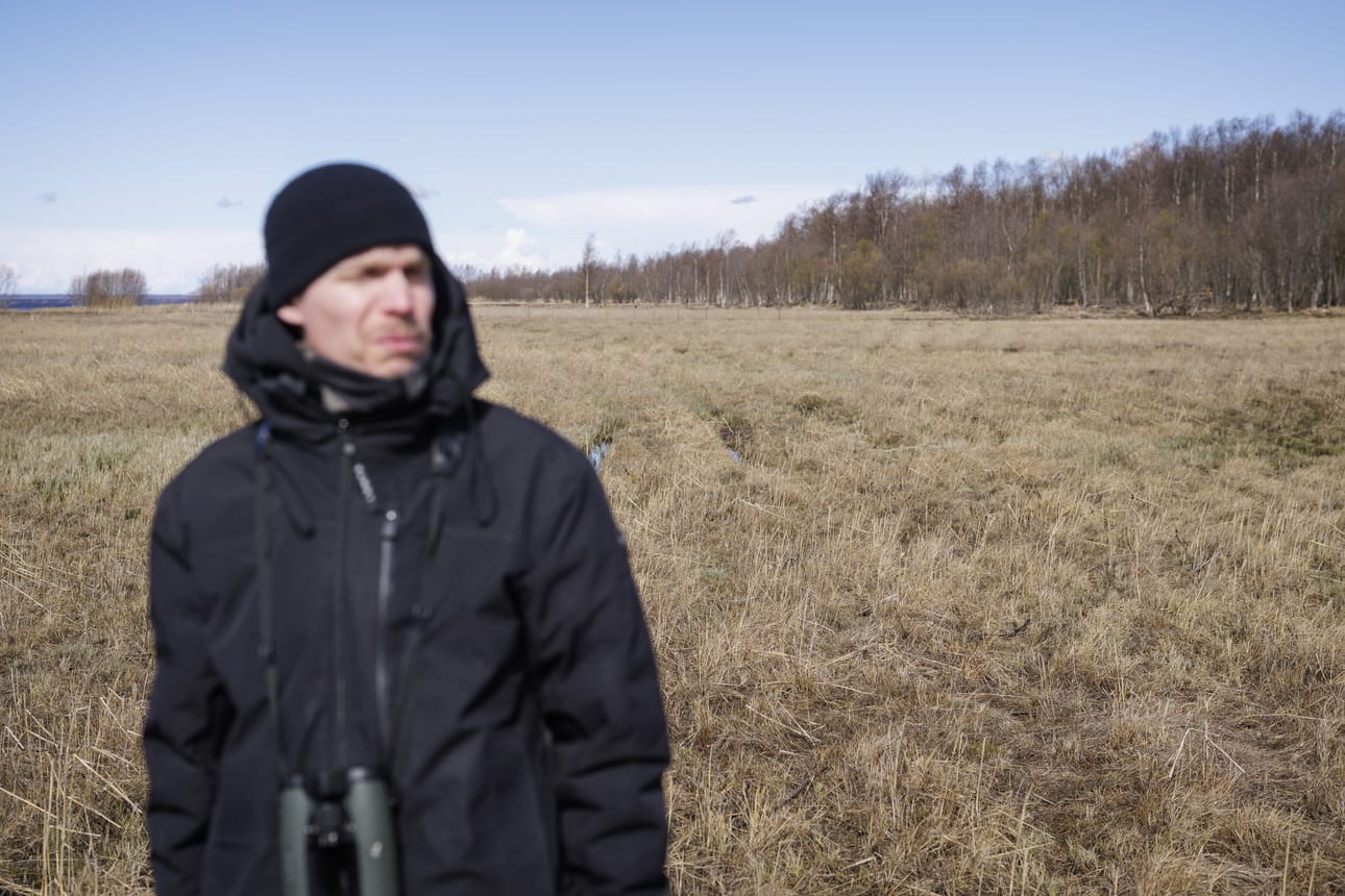 Veli-Matti Pakasen mukaan pesien tuhoutuminen tuulitulvissa uhkaa kaikkia rantaniityillä pesiviä lintulajeja.