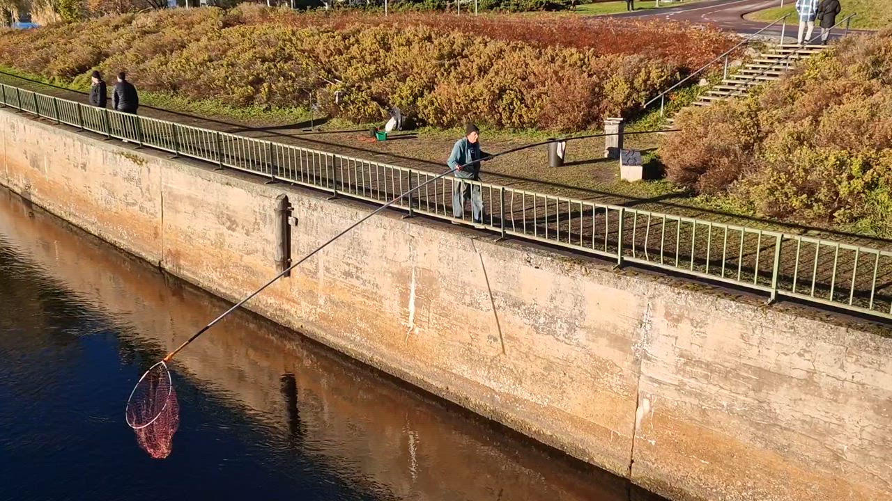 Oulu e. Merikosken alakanava. Siian lippoajat 26.10.2024