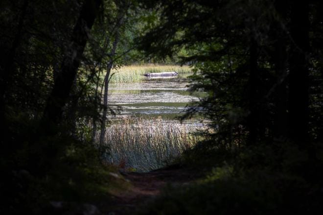 Vaasalaismiehen ruumis löytyy elokuun lopulla Pilvilammesta. Kuva: Jarno Pellinen