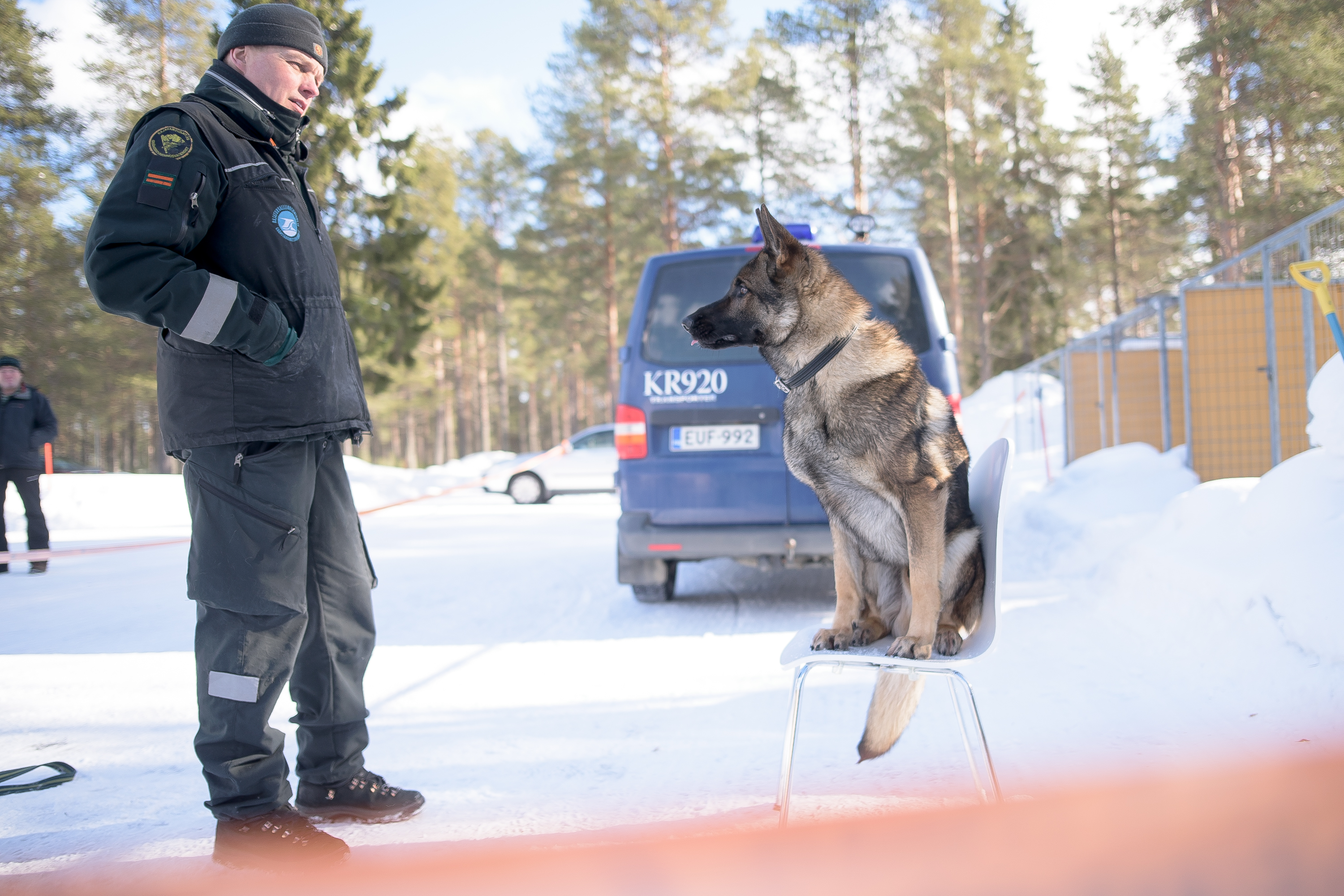 Jymy on yksi Kuusamon kuudesta rajakoirasta – se on korvaamaton