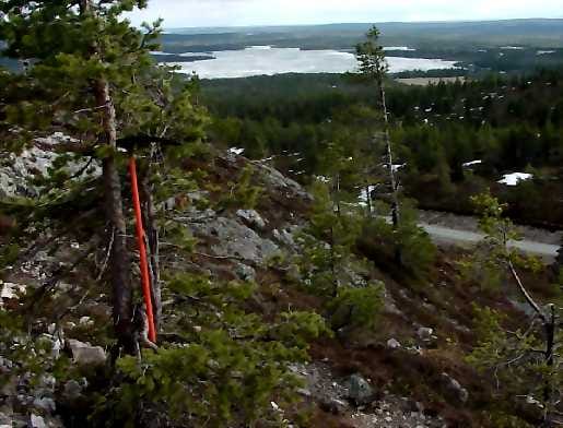 Koillis-Suomen maisemia markkinoidaan Saksaan, Ranskaan, Benelux-maihin, Venäjälle sekä entisen Neuvostoliiton maihin ja Britanniaan.