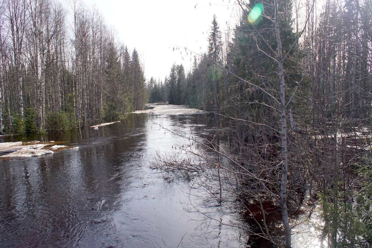 Kivarinjoki tulvii huhtikuun lopulla.