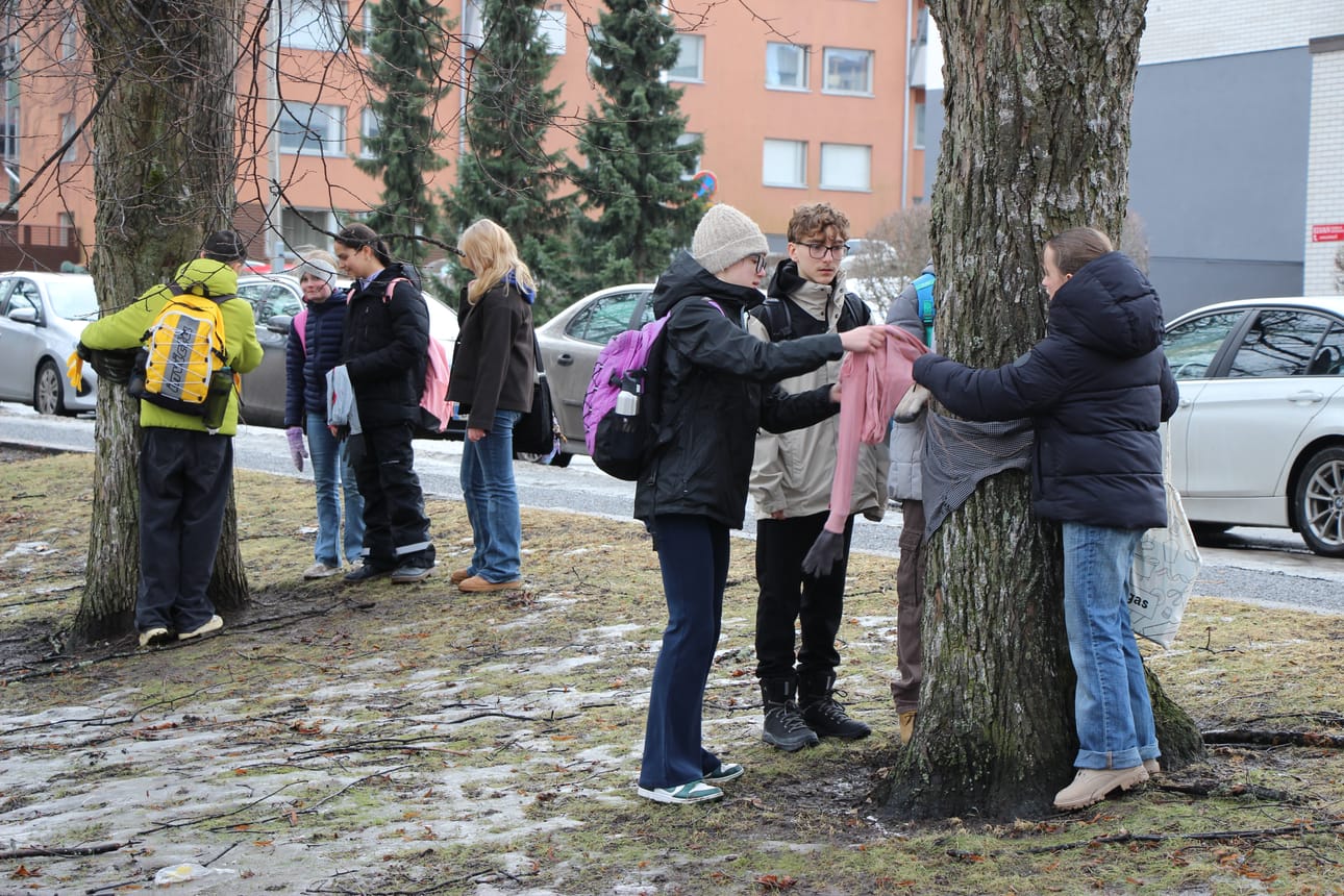 Nuoret pääsivät halailemaan, haistelemaan ja rapsuttelemaan puita osana tempausta.