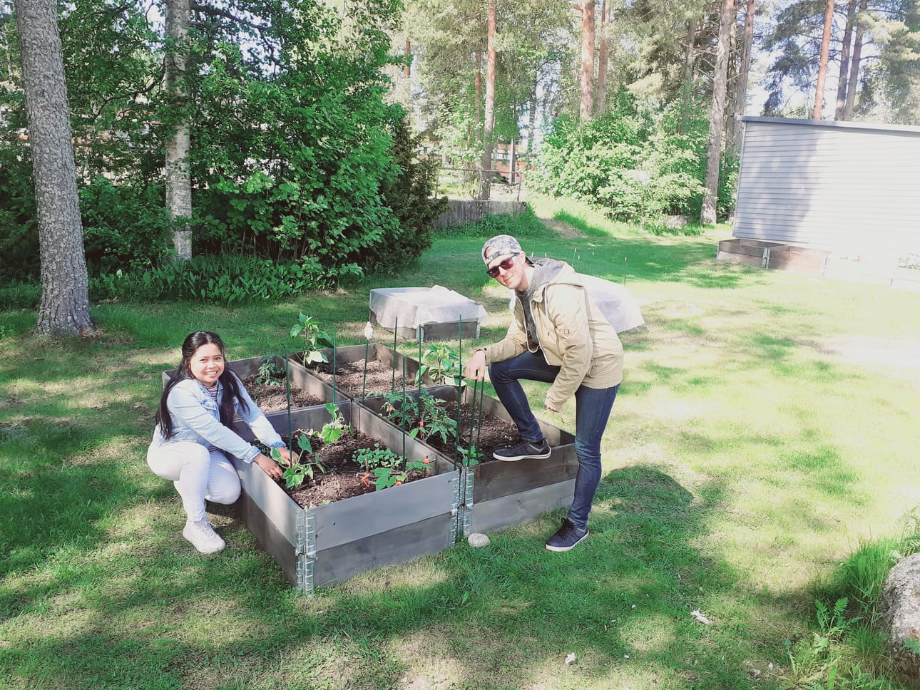 Kristala Talento ja Jarko Lajunen kokeilevat tänä kesänä yhteisöviljelyä Ristinummella.