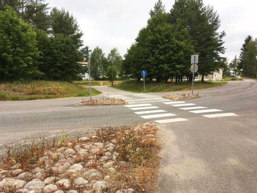 Vihreiden rikkaruohojen sijaan Rovaniemen liikenteenjakajissa on kellastuneita kasveja. Kuva Ounasmetsästä Vuonelontien ja Porokadun risteyksestä.