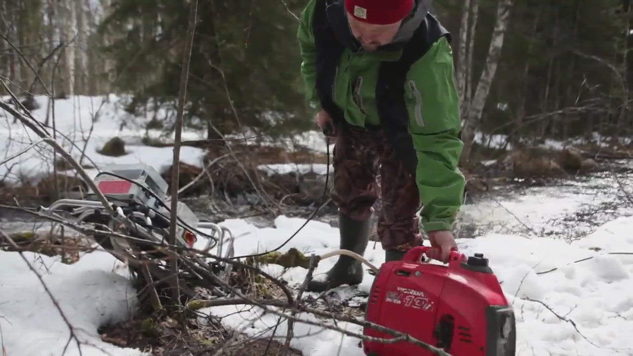 Pikkuraakkuja etsimässä