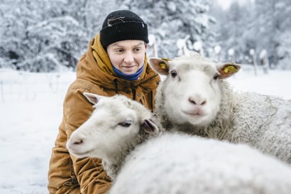 Riina Mattilan haave lemmikkiaaseista toteutui, mutta pian ne saivat seuraa – Nyt hän pyörittää pohjoisinta eläinten turvakotia