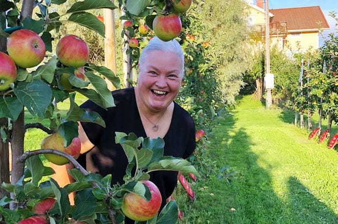 Kauhavalaisille lahjoitettu nimikkopuu kasvaa Anna Almin ja hänen puolisonsa Jan Almin tilalla.