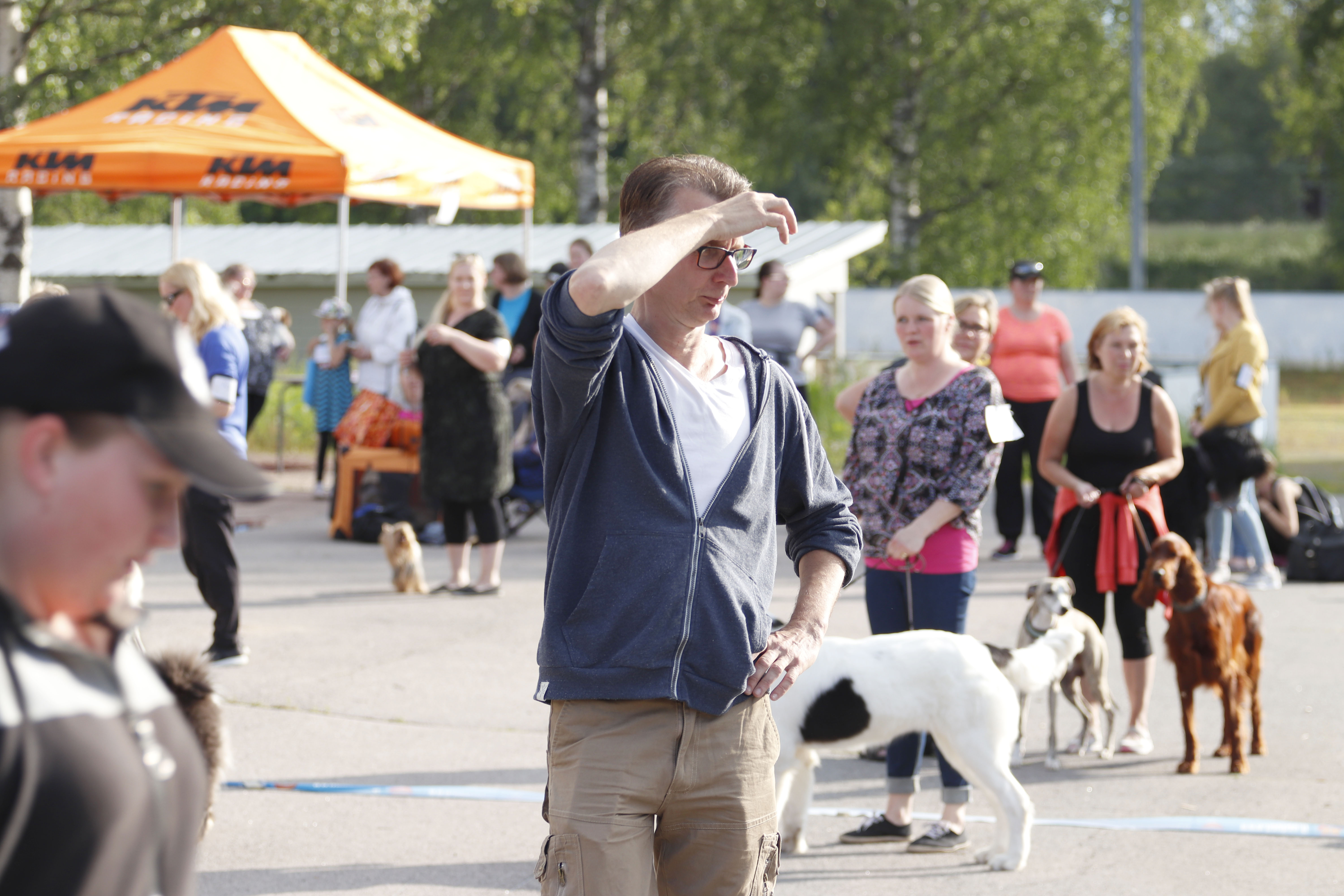 Tuomareilla oli kova urakka pistää paremmuusjärjetukseen 54 koiraa. Isojen koirien kehässä tuomaroi Heikki Skinnari.