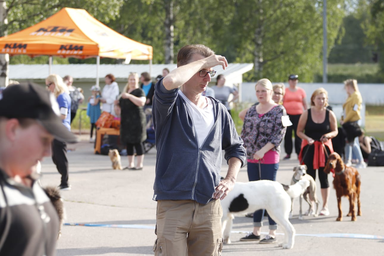 Tuomareilla oli kova urakka pistää paremmuusjärjetukseen 54 koiraa. Isojen koirien kehässä tuomaroi Heikki Skinnari.