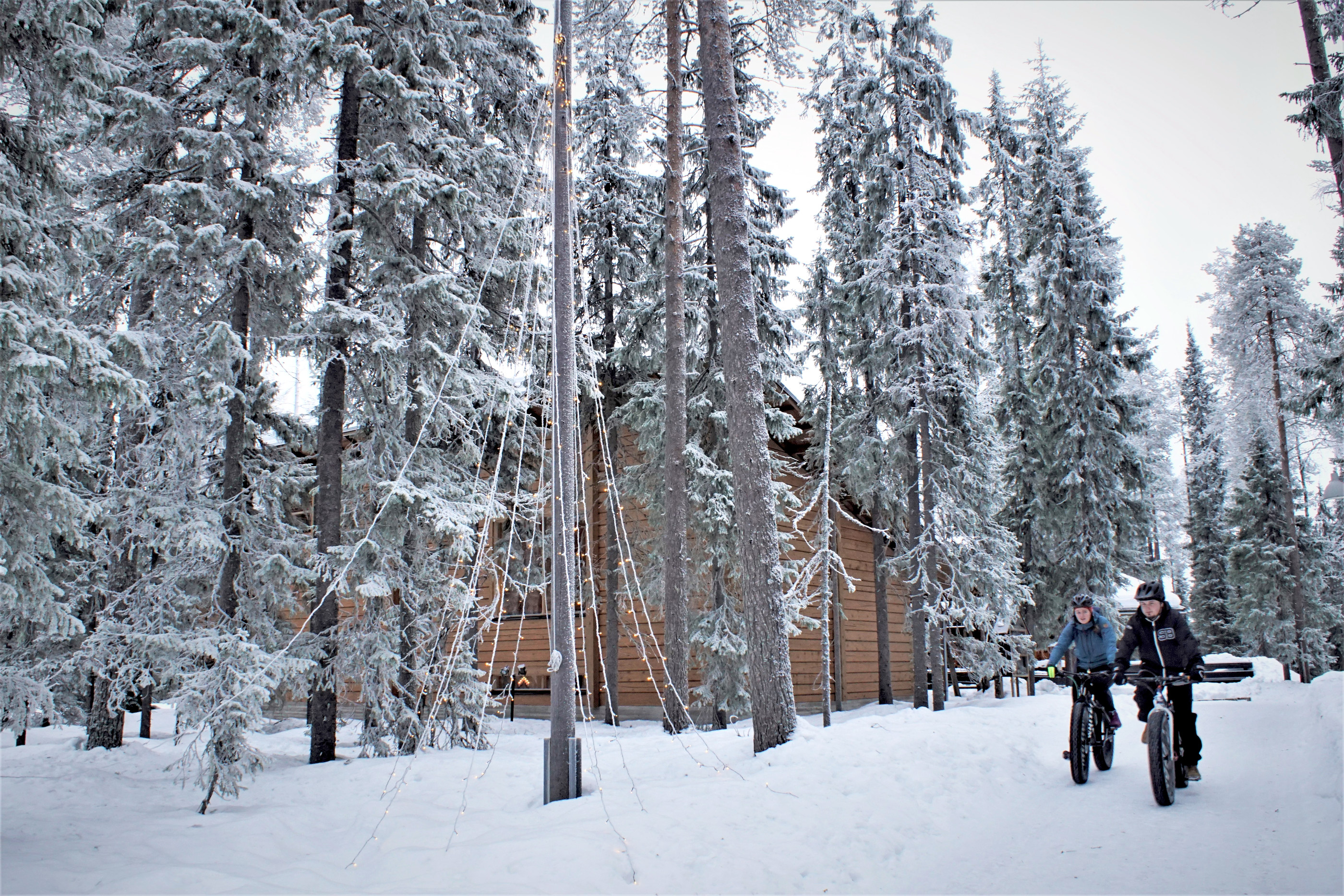 <p>Syötteen kansallispuiston ja luontokeskuksen suosio oli viime vuonnakin hyvässä nousussa.</p>