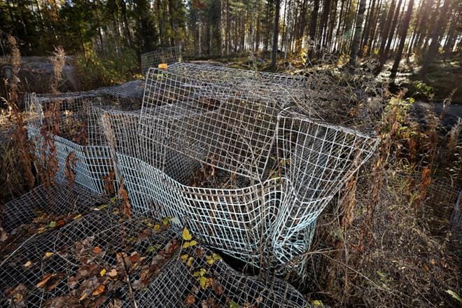Luontoon jätetyt roskat voivat olla myös loukkuja monille eläimille.