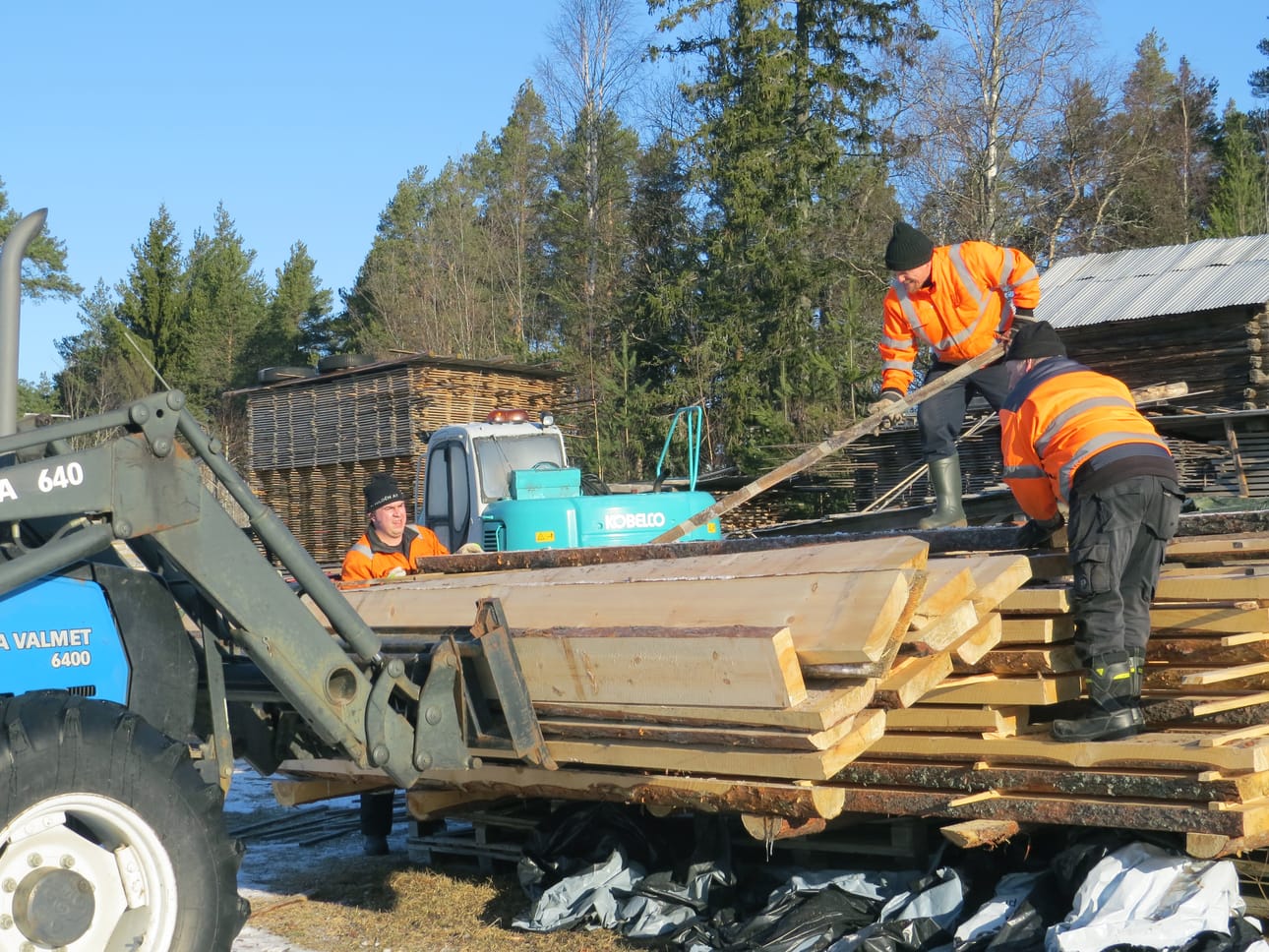 Pidetään turvavälit, että korona ei pysty, totesivat talkoomiehet puusavotassa. Matti, Kimmo ja Jari panivat hiat heilumaan ja jälkeä syntyy.