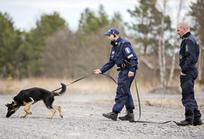 Poliisikoirat harjoittelivat Oulunsalossa