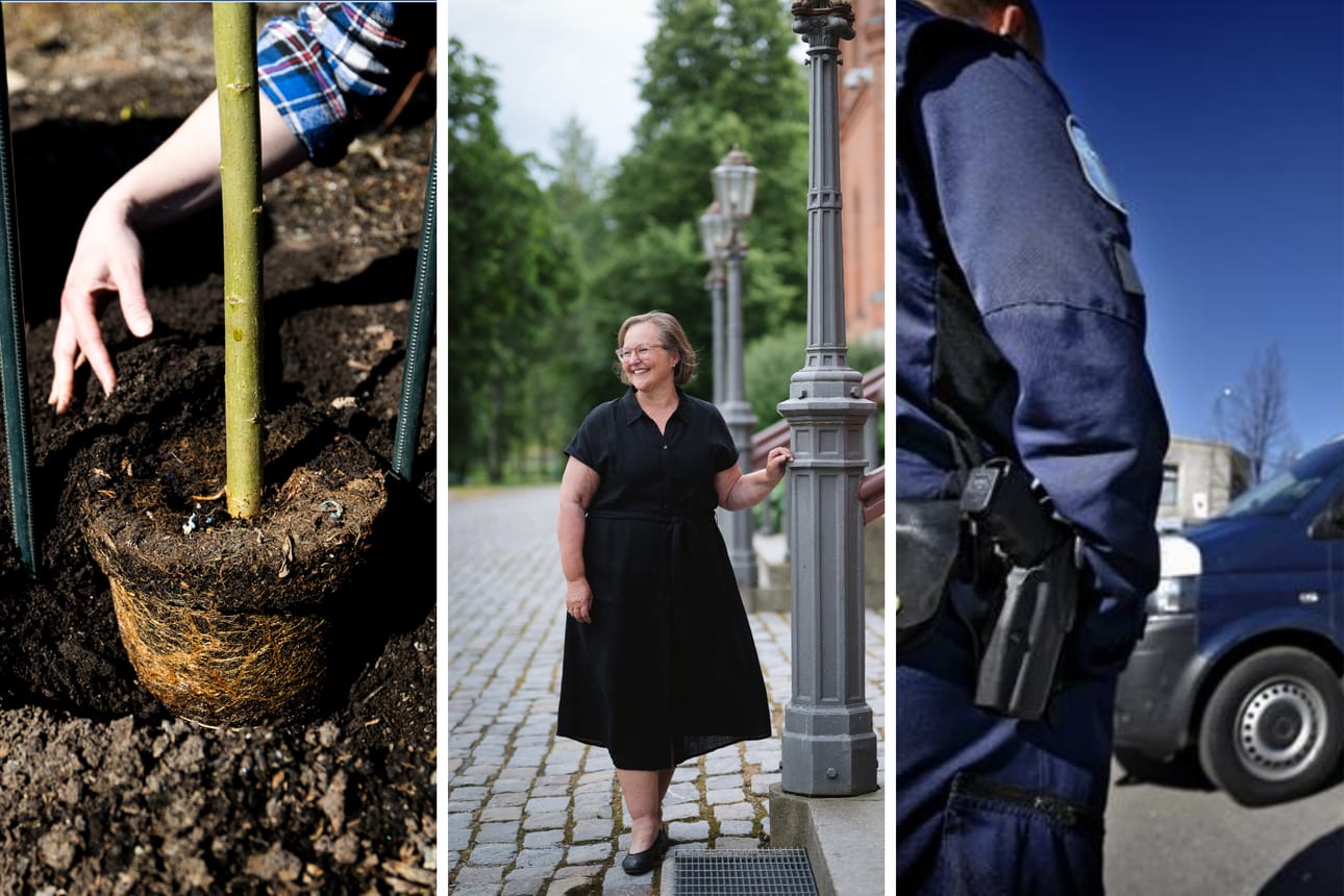 Vaasan kaupungin entisen sivistystoimenjohtajan Christina Knookalan mukaan kruununprinsessaparin vierailu työllistää monia eri alojen ammattilaisia.