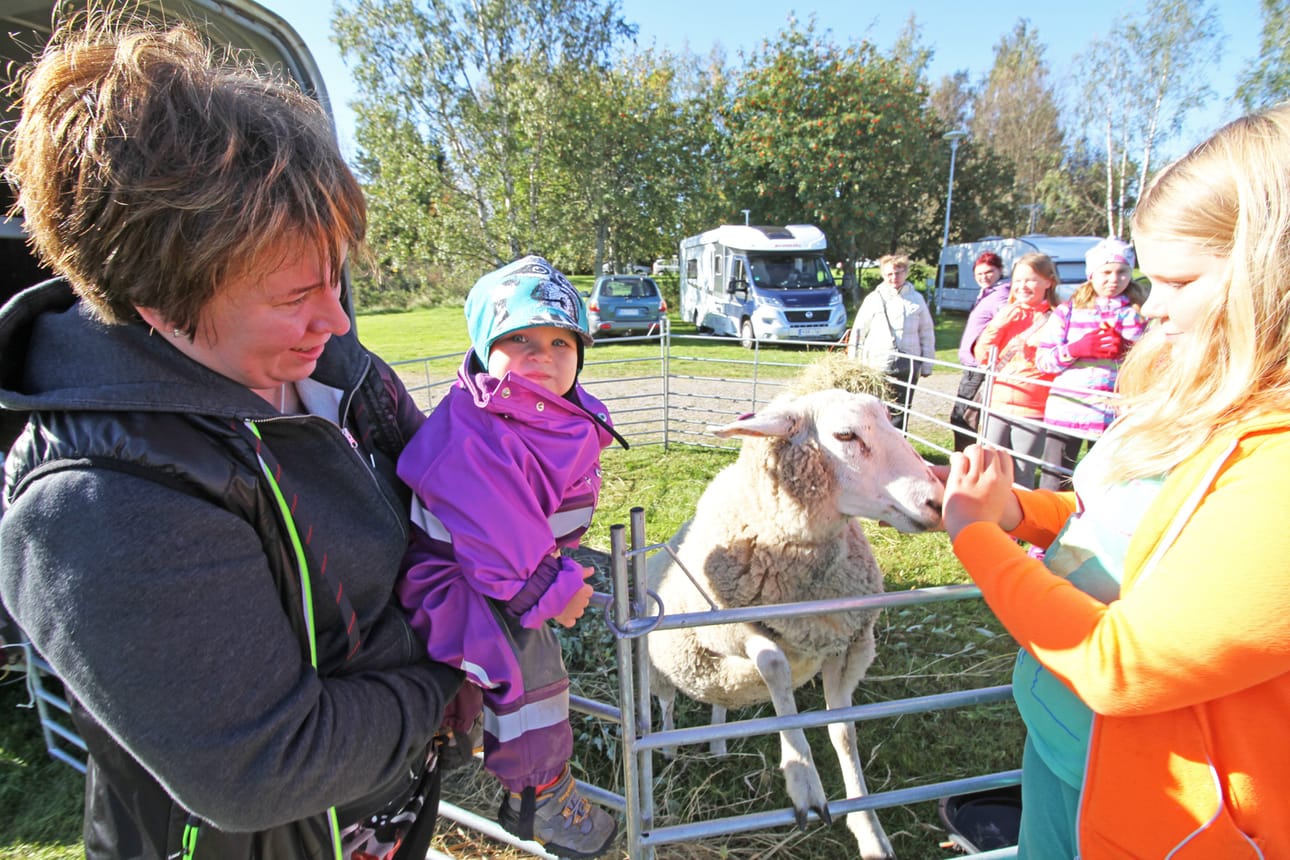Reilun vuoden ikäinen Laura Hemmilä tutustui ensimmäistä kertaa lampaisiin äitinsä Mari Hemmilän kanssa. Lammasta syöttämässä Helmi Alatalo.