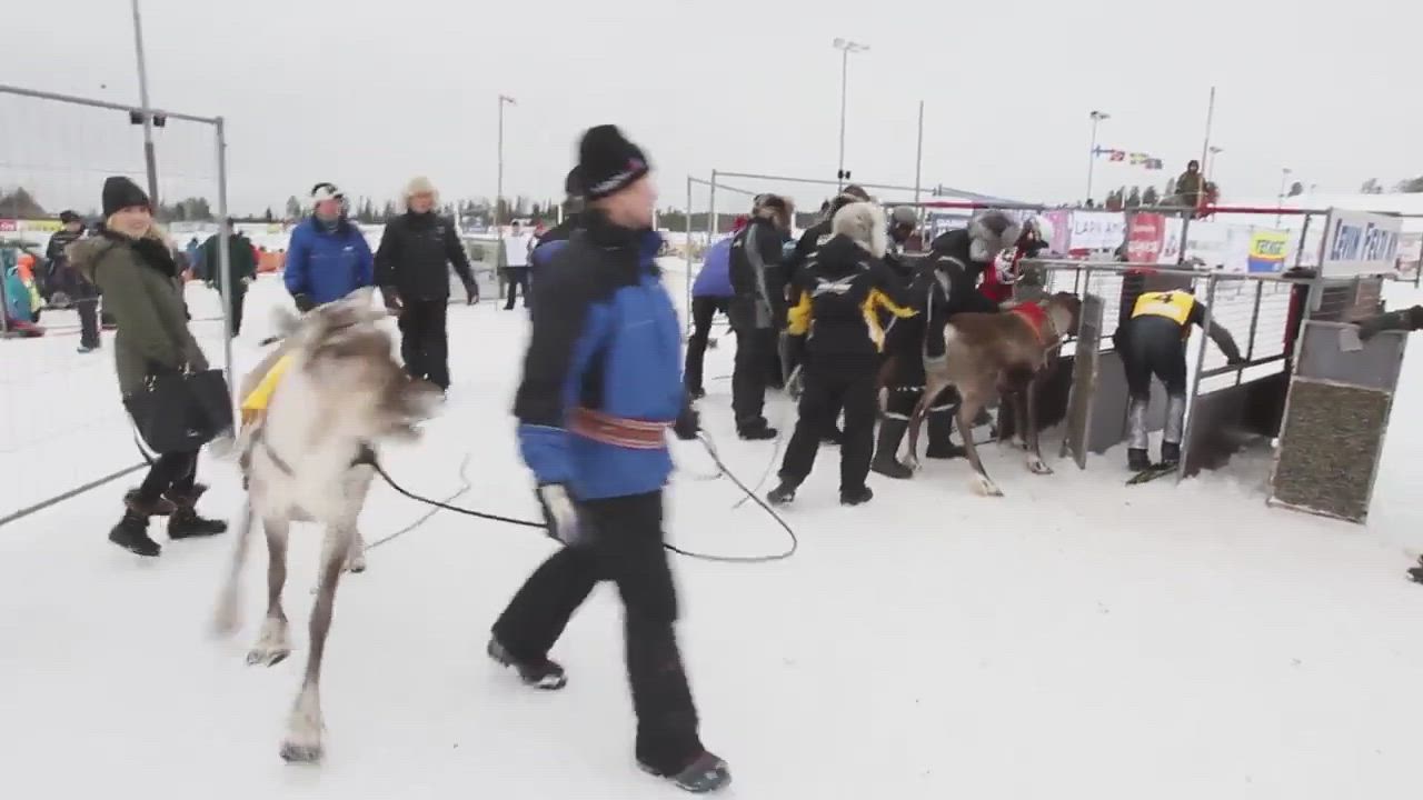 Poro Cupin 1. osakilpailu Rovaniemen Mäntyvaarassa