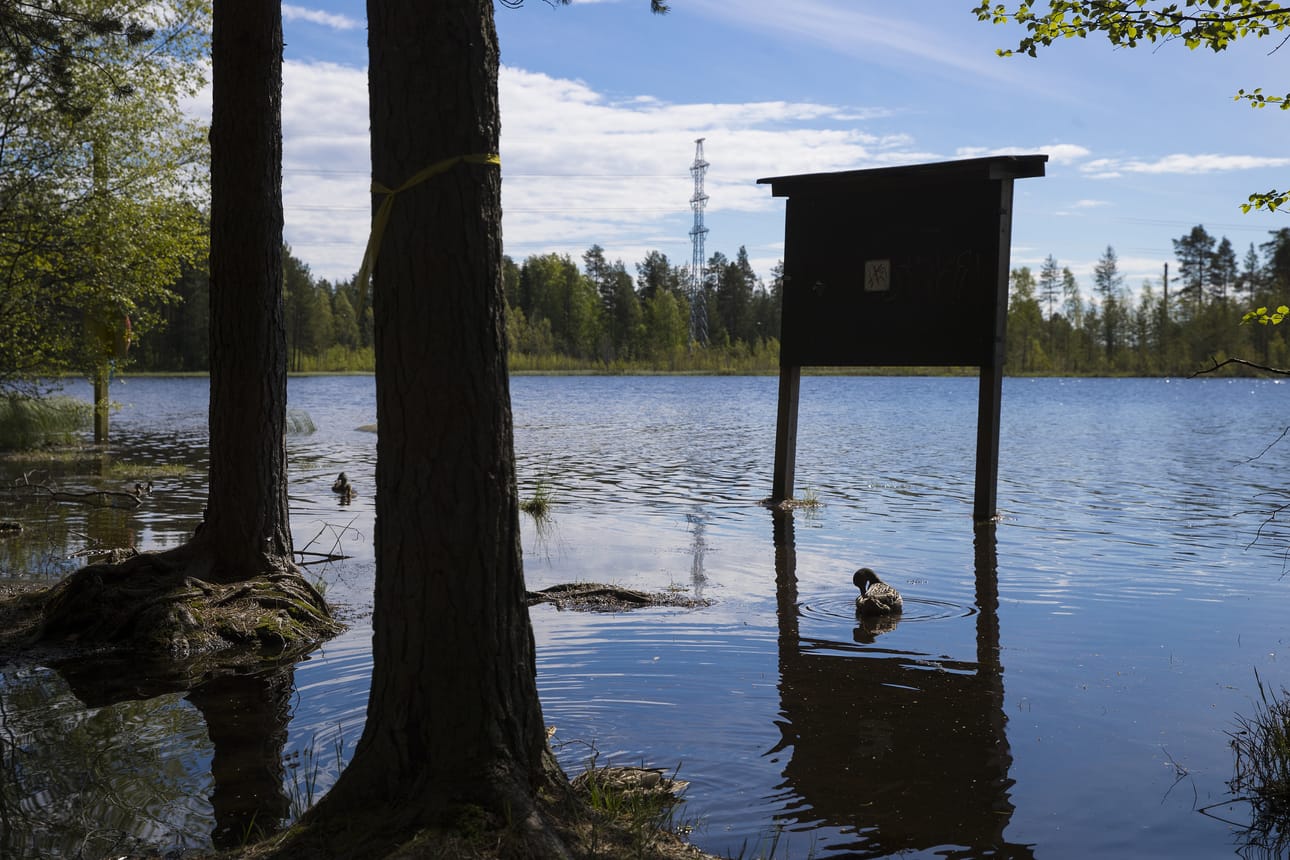 Lämsänjärven vesi oli eilen näin korkealla.