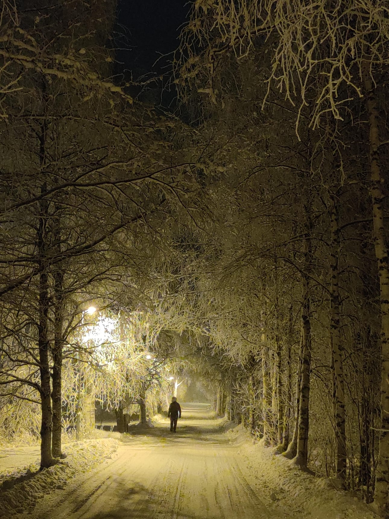 Nyt riittää ulkoilijalla silmänruokaa luonnon tarjoilemana. Näin mahtavissa maisemissa sujui iltalenkki 19. tammikuun iltana Rovaniemen Paavalniemessä. Kuvaajana Hilkka Saulio.
